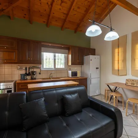 Spedion Villa - Near To Sea Villas With Swimming Pool Holiday home *