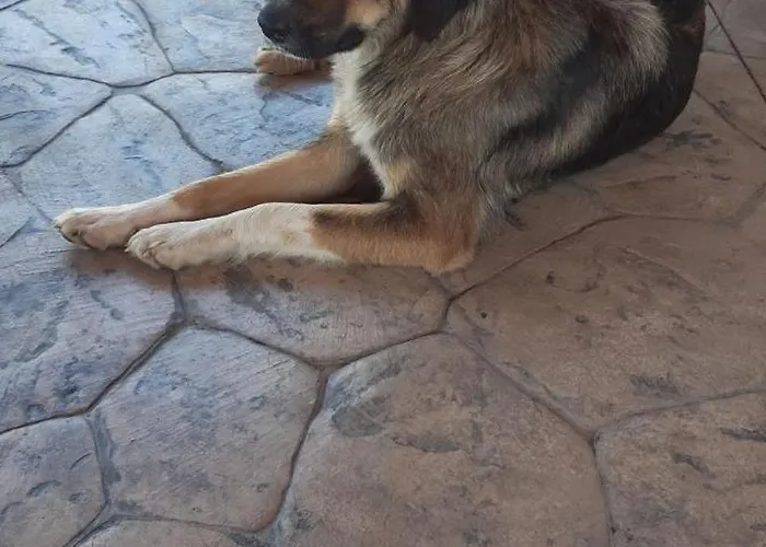 Spedion - Near To Sea With Heated Swimming Pool Hébergement de vacances